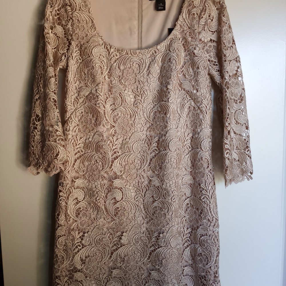 Gold Lace Shift Mini Dress, White House Black Market, Sz 4, NWT